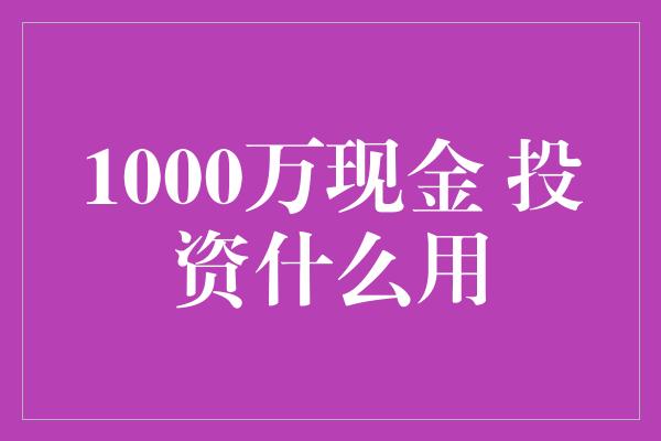 1000万现金 投资什么用