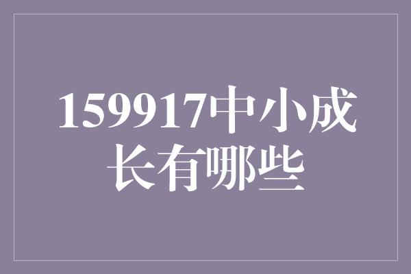 159917中小成长有哪些