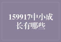 159917中小成长的启示：探寻中小型企业成长之路