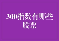 300指数：中国A股市场的重要晴雨表