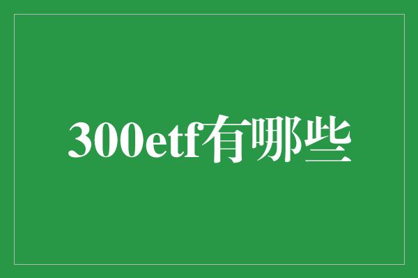 300etf有哪些