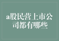 中国A股市场中的民营上市公司概况解析