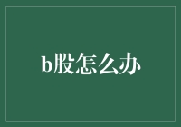 B股市场困境：现状、挑战与对策