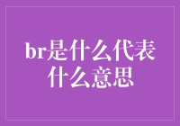 从物理到虚拟：探索BR的多重含义