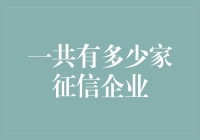 中国征信市场：企业的多元化探索与未来趋势