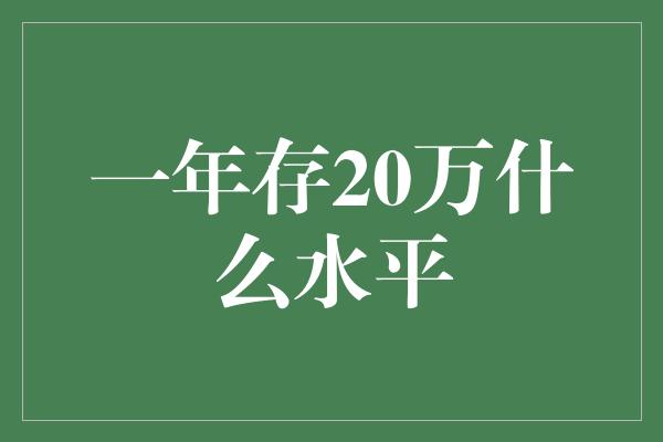 一年存20万什么水平