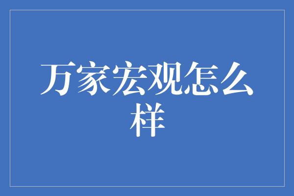 万家宏观怎么样