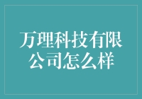 从一家初创公司到科技巨头：万理科技有限公司的崛起之路