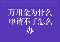 万用金申请失败可能原因及解决策略分析