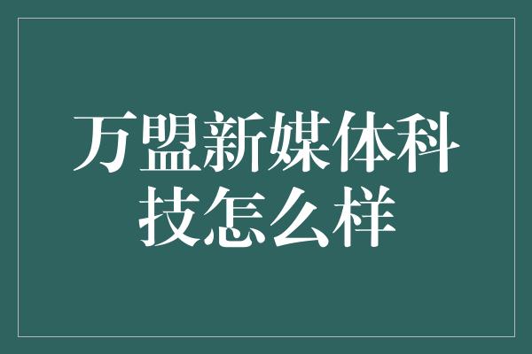 万盟新媒体科技怎么样