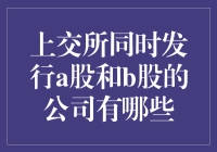 上交所也有AB面：那些同时发行A股和B股的双面公司