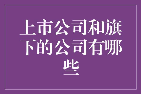 上市公司和旗下的公司有哪些