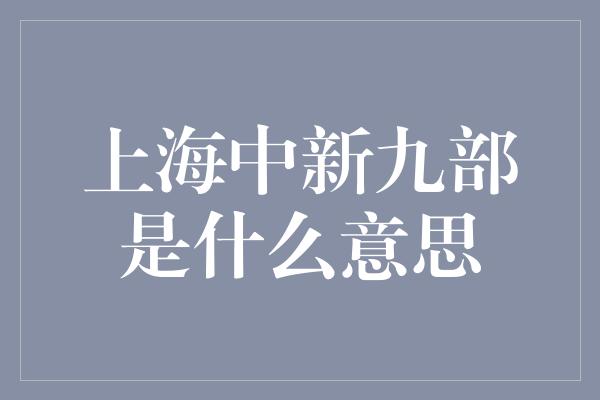 上海中新九部是什么意思