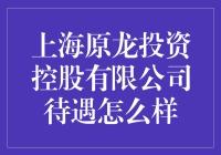 上海原龙投资控股有限公司：职业发展与薪酬福利的综合分析