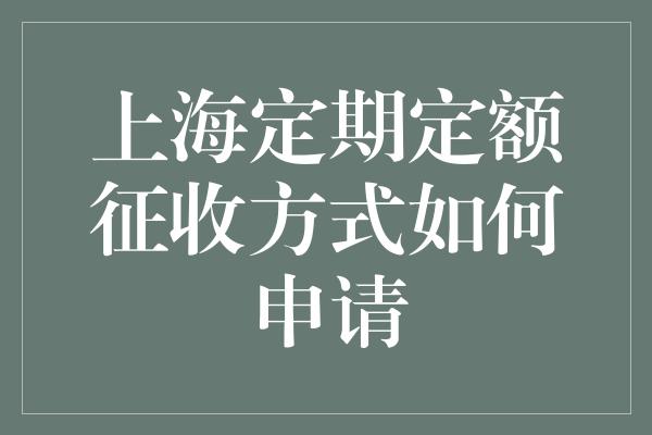 上海定期定额征收方式如何申请