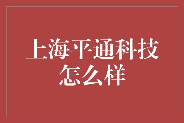 上海平通科技怎么样