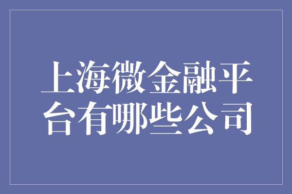 上海微金融平台有哪些公司