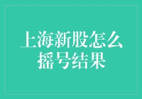 上海新股摇号结果：一次全面解析