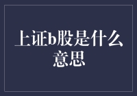 上证B股：一条通向国际资本市场的桥梁