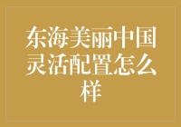 东海美丽中国灵活配置究竟是什么？