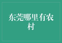 探寻东莞：绿色稻田中的工业奇迹