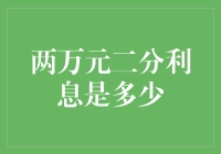 两万元二分利息是多少：理财新手的必修课