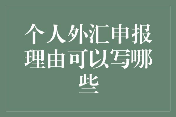 个人外汇申报理由可以写哪些