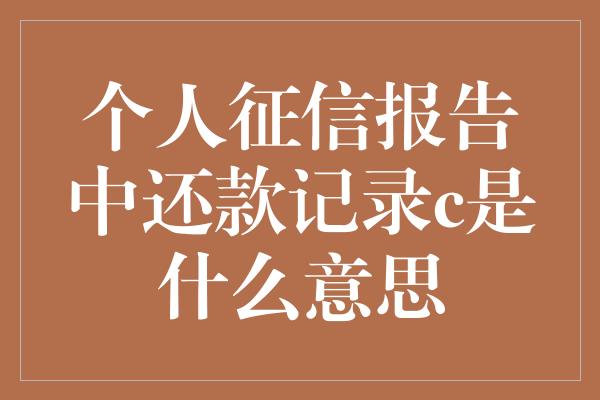 个人征信报告中还款记录c是什么意思