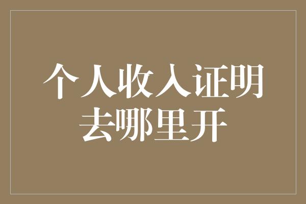 个人收入证明去哪里开