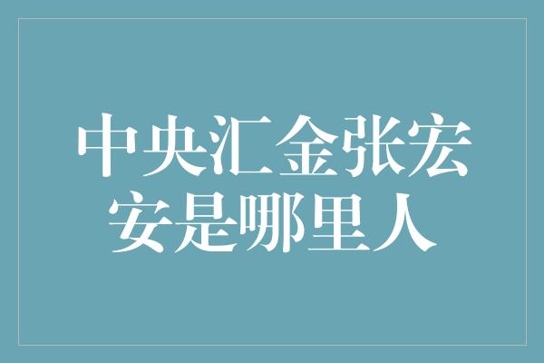 中央汇金张宏安是哪里人