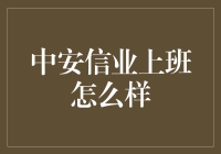 中安信业工作体验：机遇与挑战并存