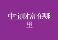 中宝财富的秘密：寻找隐匿于历史尘埃中的珍宝