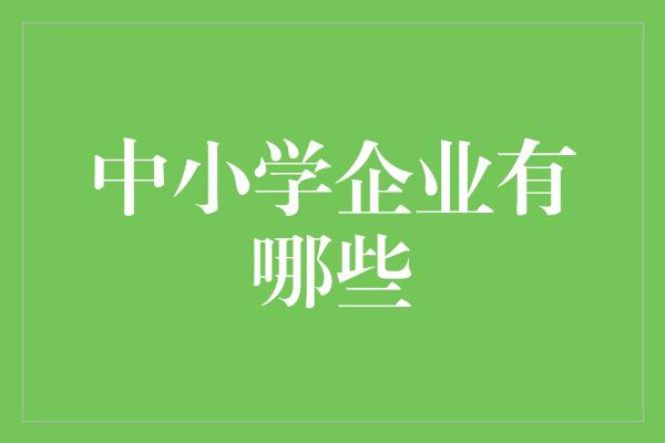 中小学企业有哪些