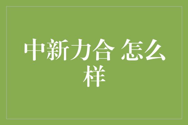 中新力合 怎么样