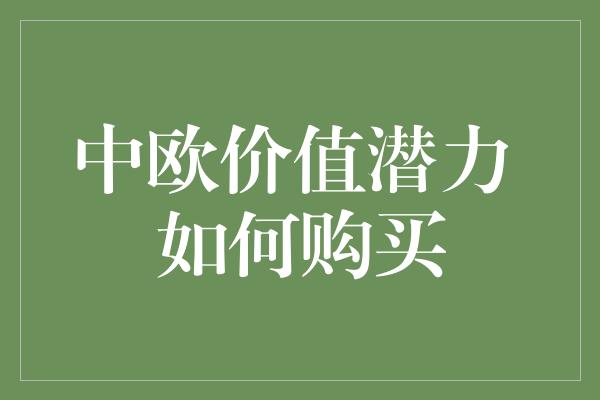 中欧价值潜力 如何购买