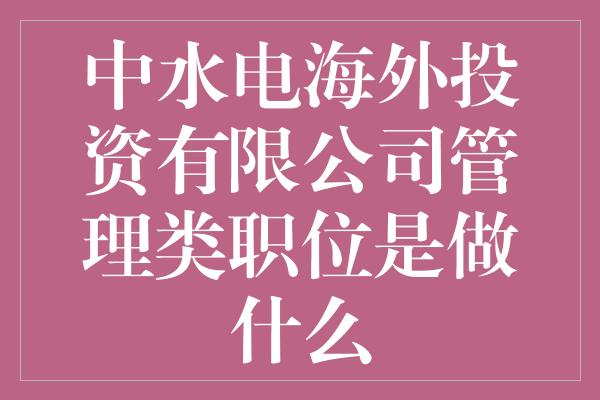 中水电海外投资有限公司管理类职位是做什么