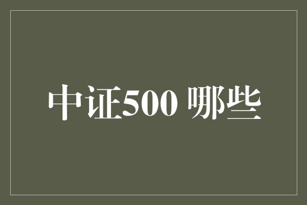 中证500 哪些