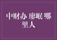 储户廖岷：一个从银行账户到财经办的传奇人物