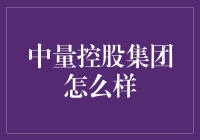 中量控股：一个比蚂蚁还小的企业，如何应对巨人的挑战？