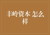 丰岭资本：构建稳健的投资生态，为财富增长保驾护航