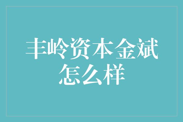 丰岭资本金斌怎么样