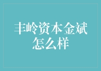 丰岭资本金斌：在价值投资的浩瀚星海中航行