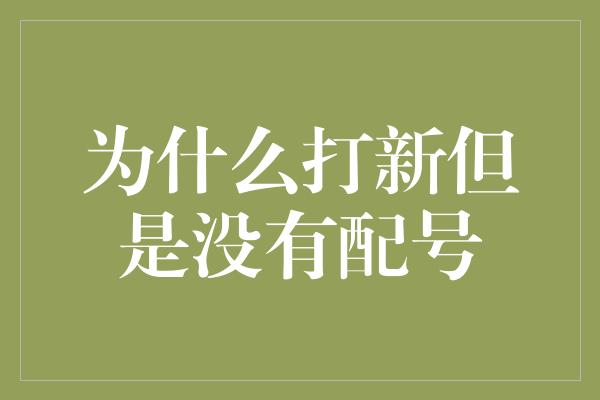 为什么打新但是没有配号