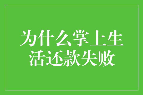 为什么掌上生活还款失败