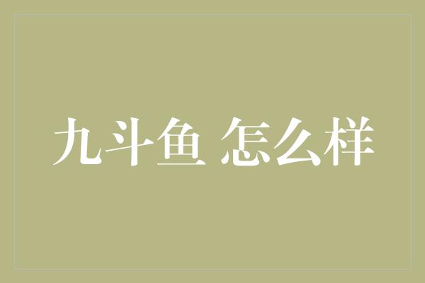 九斗鱼 怎么样