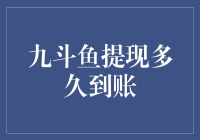 九斗鱼提现到账：速度与流程解析