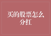 股票投资者眼中的分红：如何拥抱公司的成长红利