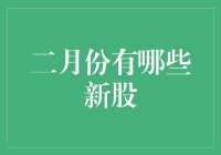 二月份炒股新手指南：带你一起玩转新股市场！