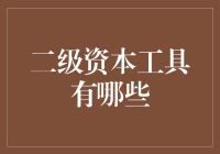 什么是二级资本工具？它们在金融体系中扮演什么角色？