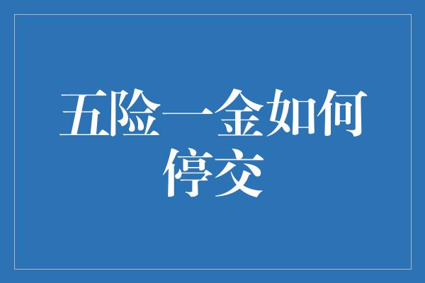 五险一金如何停交